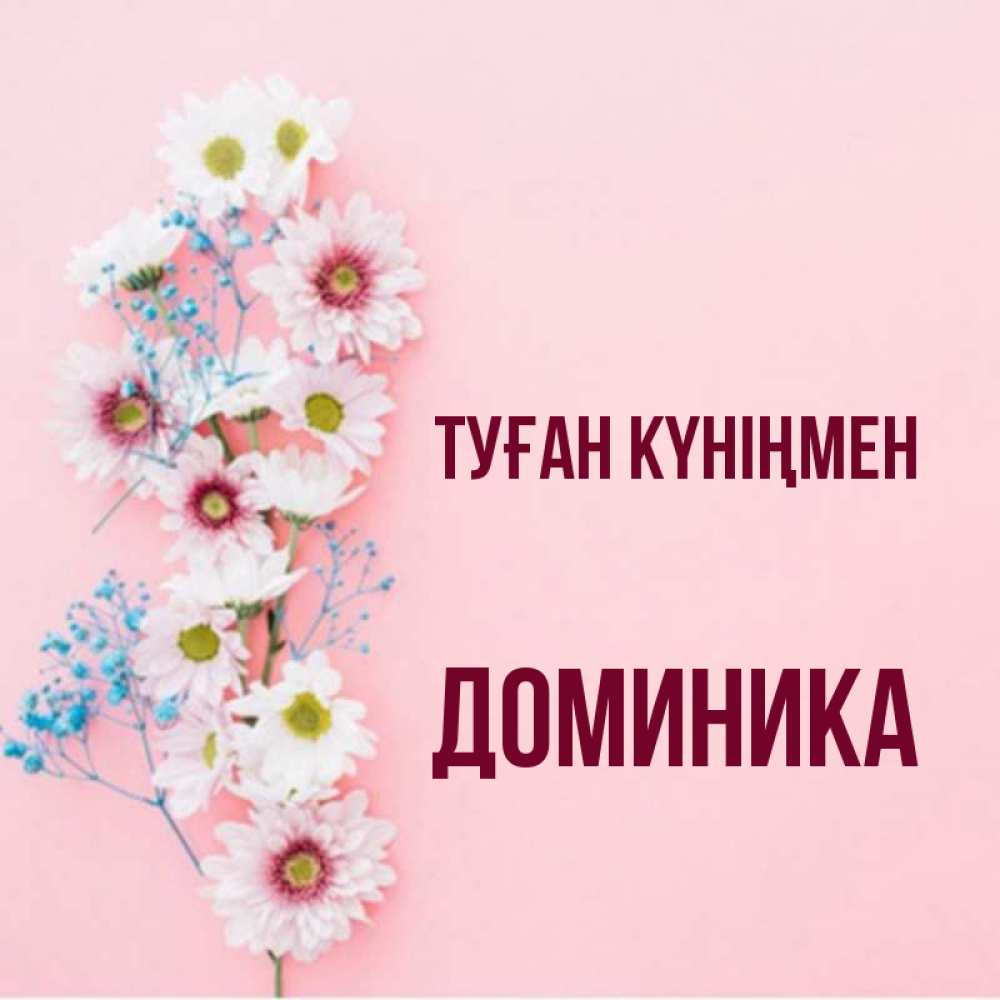 Күн сайын ашық хат с именем, Доминика Туған күніңмен Родная моя с днем рождения тебя картинка с цветами белыми и голубыми Онлайн тегін жүктеп алу тілектері бар керемет карта 