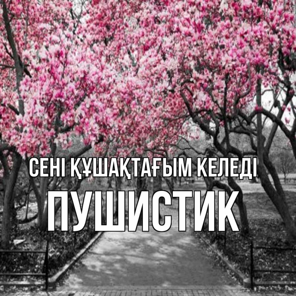 Күн сайын ашық хат с именем, Пушистик сені құшақтағым келеді обработанное фото Онлайн тегін жүктеп алу тілектері бар керемет карта 