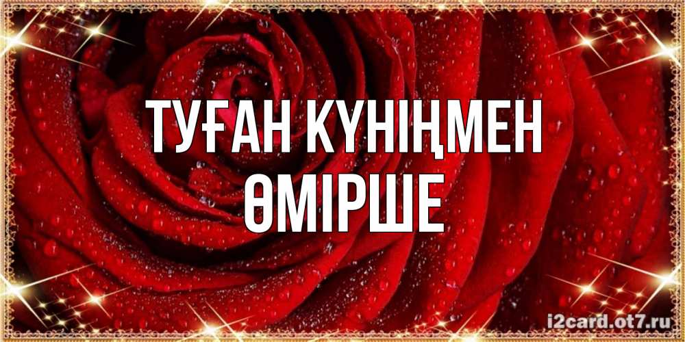 Күн сайын ашық хат с именем, ӨМІРШЕ Туған күніңмен роса на розе блестящая в лучах солнца Онлайн тегін жүктеп алу тілектері бар керемет карта 