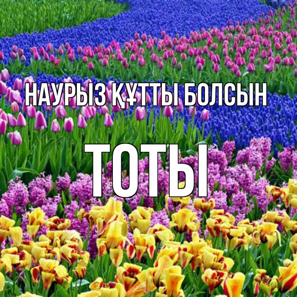 Күн сайын ашық хат с именем, ТОТЫ Наурыз құтты болсын цветы Онлайн тегін жүктеп алу тілектері бар керемет карта 