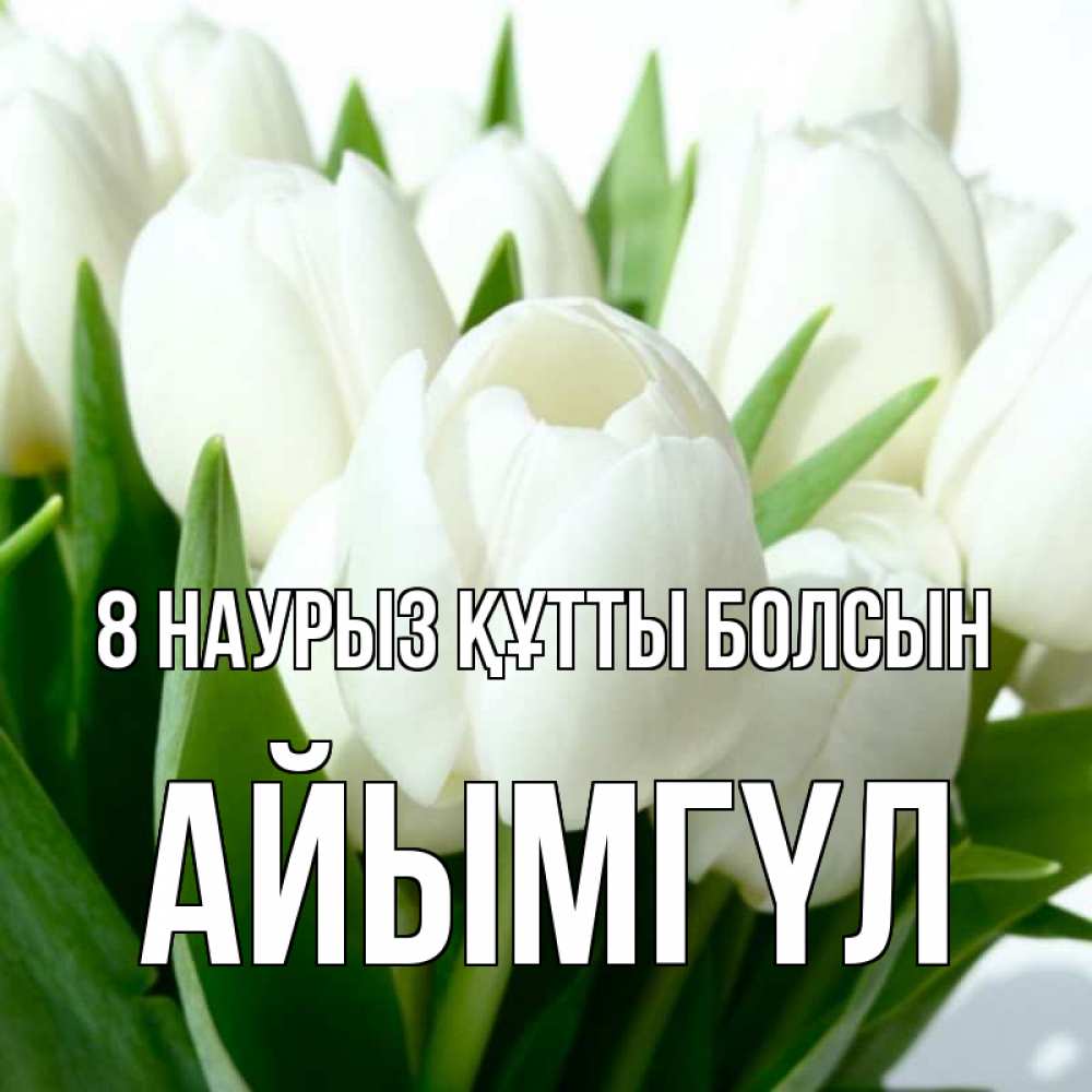 Күн сайын ашық хат с именем, АЙЫМГҮЛ 8 наурыз құтты болсын цветы Онлайн тегін жүктеп алу тілектері бар керемет карта 