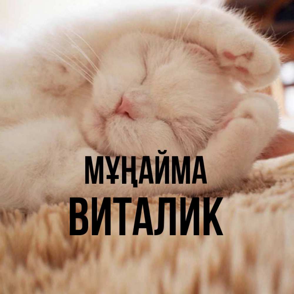 Күн сайын ашық хат с именем, Виталик Мұңайма Котенок спит Онлайн тегін жүктеп алу тілектері бар керемет карта 