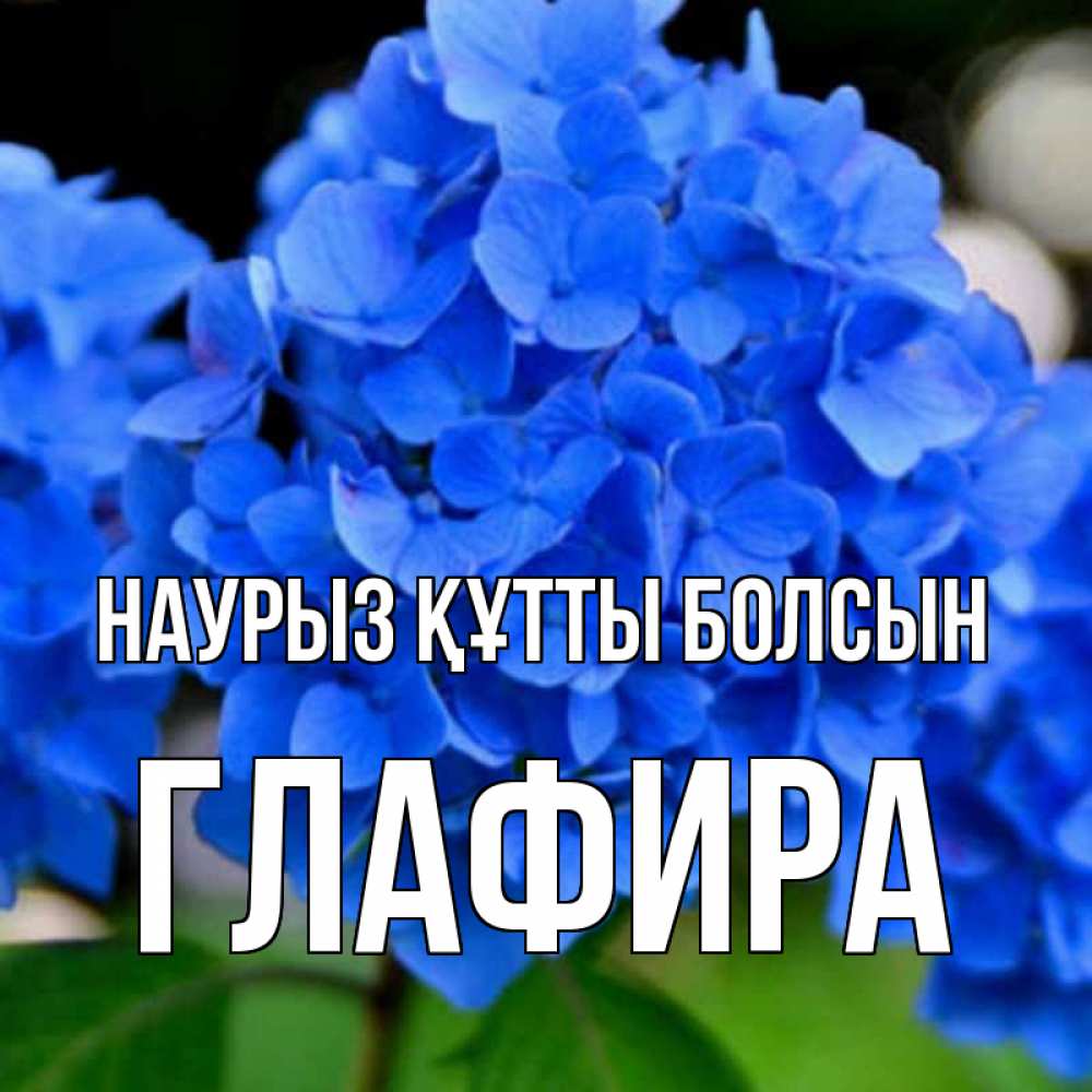 Күн сайын ашық хат с именем, Глафира Наурыз құтты болсын синие цветы Онлайн тегін жүктеп алу тілектері бар керемет карта 