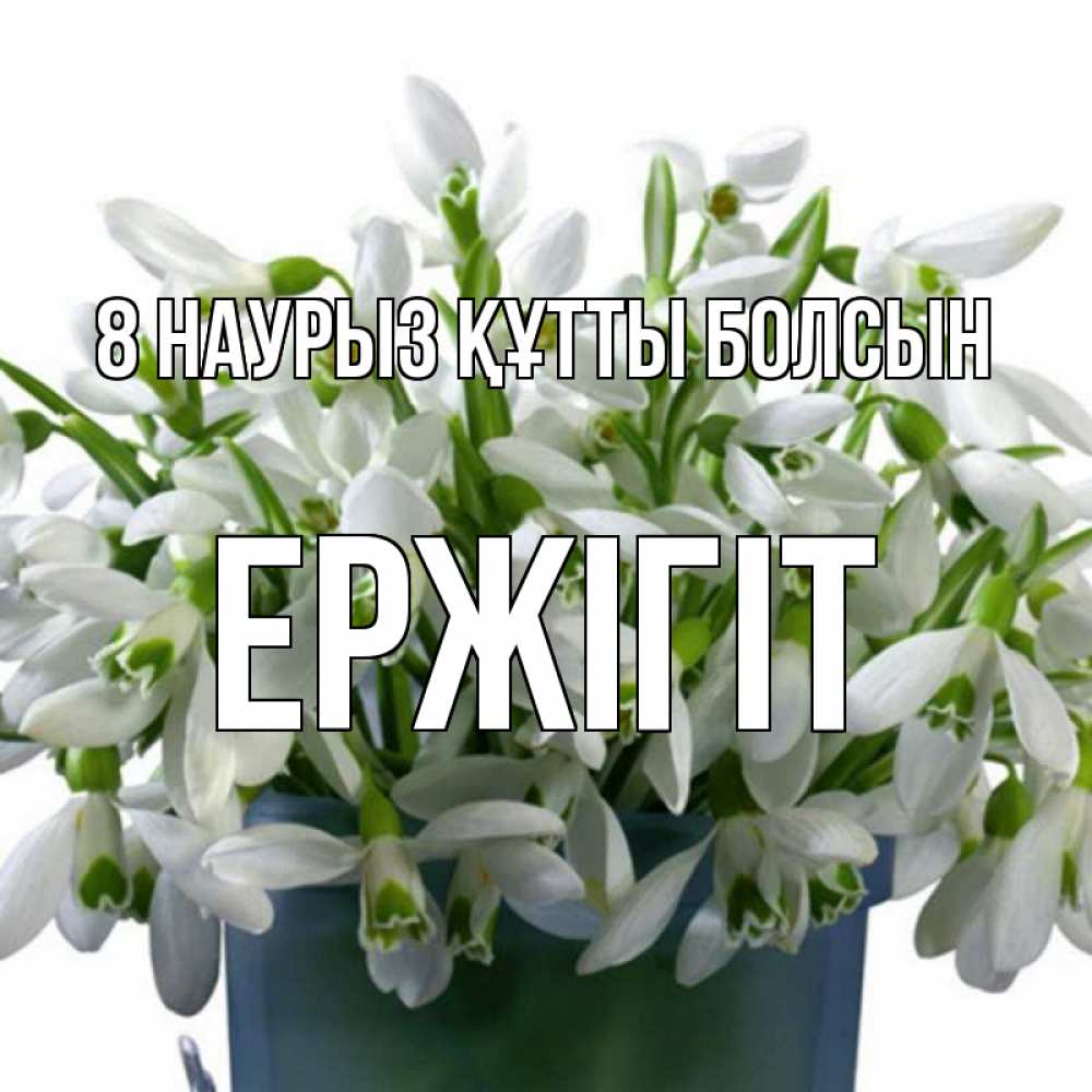 Күн сайын ашық хат с именем, Ержігіт 8 наурыз құтты болсын цветы к международному женскому дню Онлайн тегін жүктеп алу тілектері бар керемет карта 