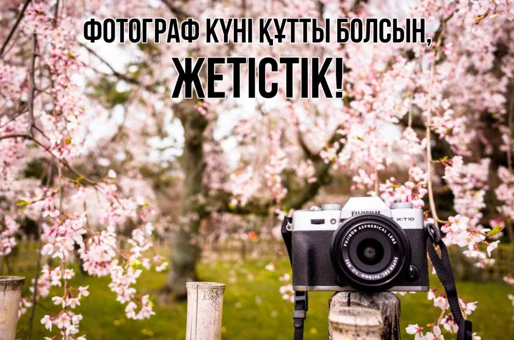 Күн сайын ашық хат с именем, Жетістік Фотограф күні құтты болсын сирень с днем фотографа, фотоаппарат Онлайн тегін жүктеп алу тілектері бар керемет карта 
