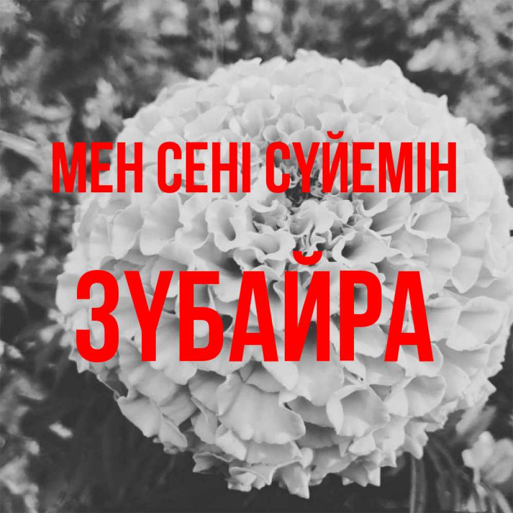 Күн сайын ашық хат с именем, ЗҮБАЙРА Мен сені сүйемін подпись Онлайн тегін жүктеп алу тілектері бар керемет карта 