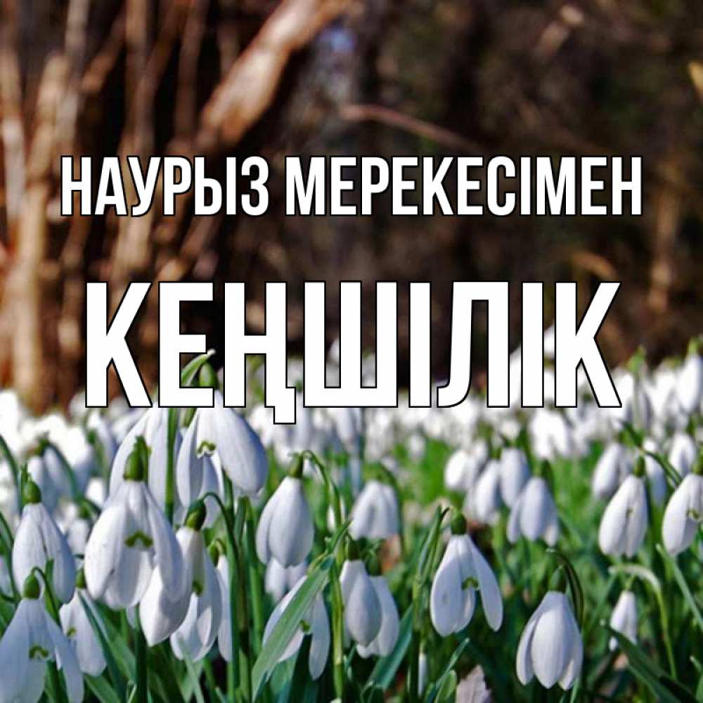 Күн сайын ашық хат с именем, Кеңшілік Наурыз мерекесімен с подснежниками 1 Онлайн тегін жүктеп алу тілектері бар керемет карта 