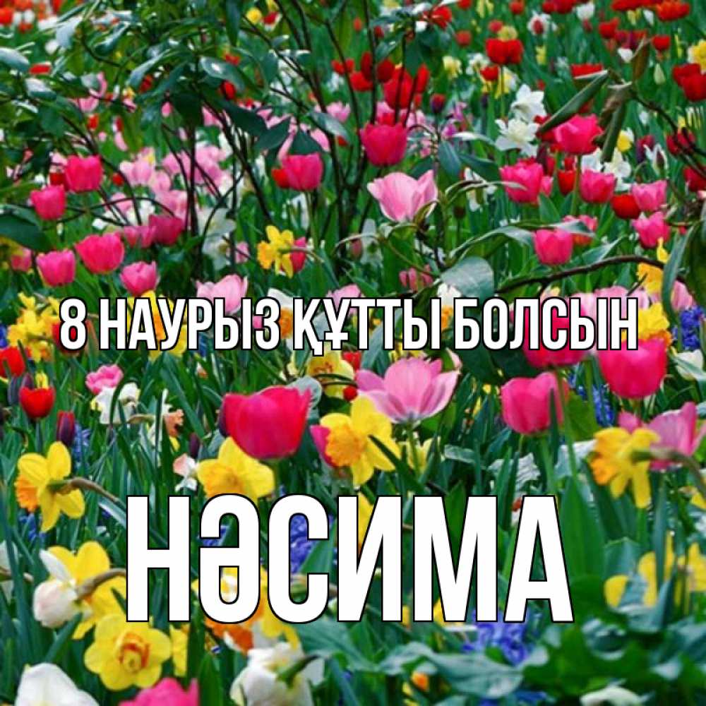 Күн сайын ашық хат с именем, НӘСИМА 8 наурыз құтты болсын с международным женским днем поздравления для женщины Онлайн тегін жүктеп алу тілектері бар керемет карта 
