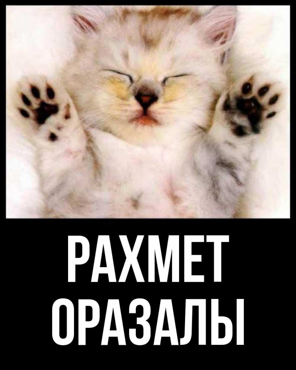 Күн сайын ашық хат с именем, ОРАЗАЛЫ рахмет маленький котенок Онлайн тегін жүктеп алу тілектері бар керемет карта 