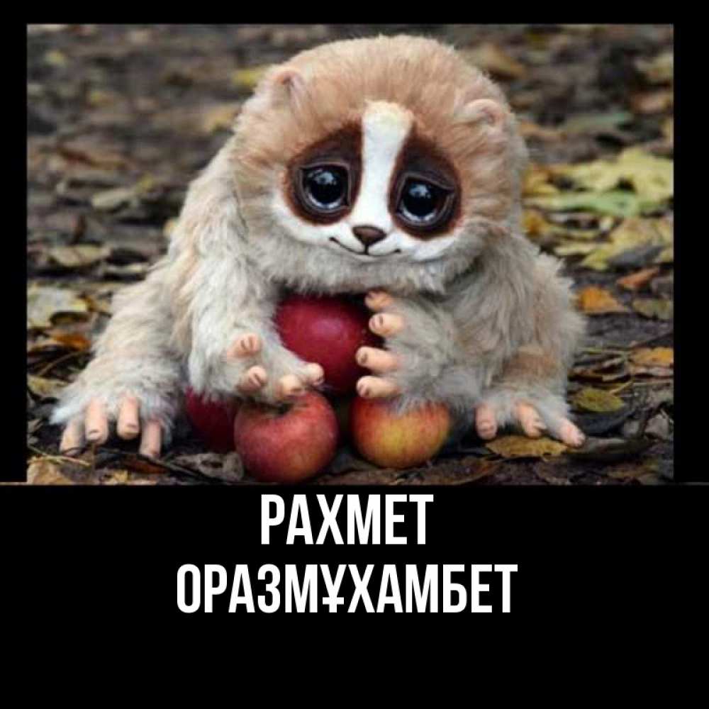 Күн сайын ашық хат с именем, ОРАЗМҰХАМБЕТ рахмет прикольное животное Онлайн тегін жүктеп алу тілектері бар керемет карта 