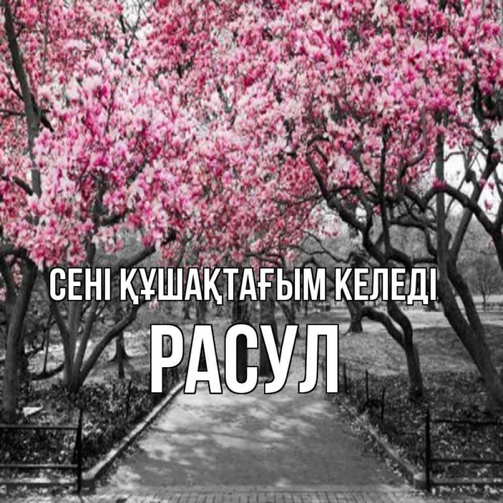 Күн сайын ашық хат с именем, РАСУЛ сені құшақтағым келеді обработанное фото Онлайн тегін жүктеп алу тілектері бар керемет карта 