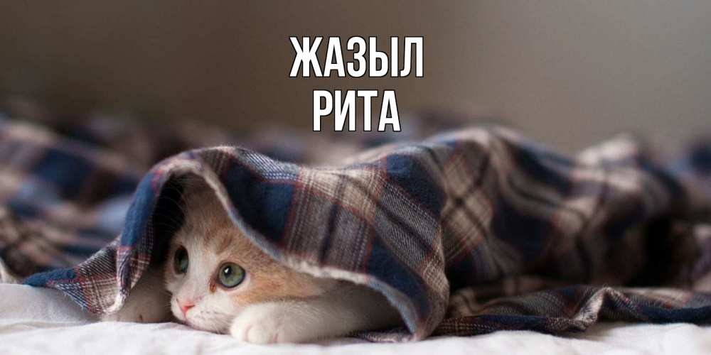 Күн сайын ашық хат с именем, Рита Жазыл не болейте с котиком Онлайн тегін жүктеп алу тілектері бар керемет карта 