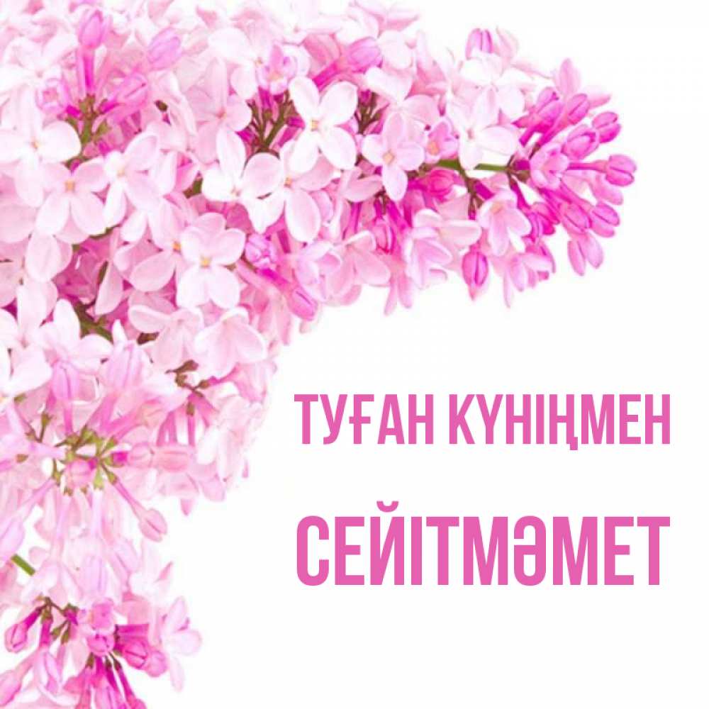 Күн сайын ашық хат с именем, СЕЙІТМӘМЕТ Туған күніңмен Сирень на белом фоне Онлайн тегін жүктеп алу тілектері бар керемет карта 