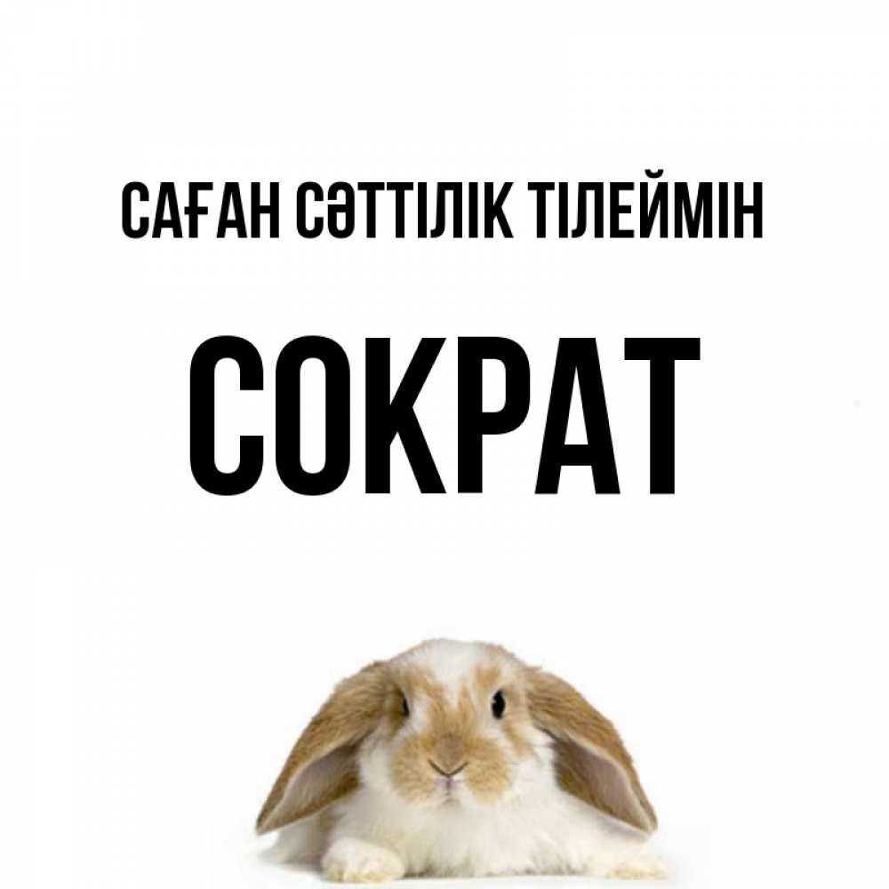 Күн сайын ашық хат с именем, Сократ Саған сәттілік тілеймін открытки с произвольным текстом который можно вставить в открытку и создать ее самостоятельно бесплатно онлайн Онлайн тегін жүктеп алу тілектері бар керемет карта 