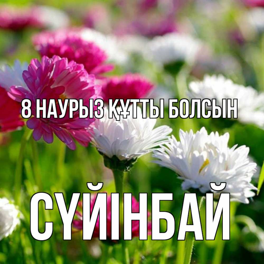 Күн сайын ашық хат с именем, СҮЙІНБАЙ 8 наурыз құтты болсын международный женский день 1 Онлайн тегін жүктеп алу тілектері бар керемет карта 