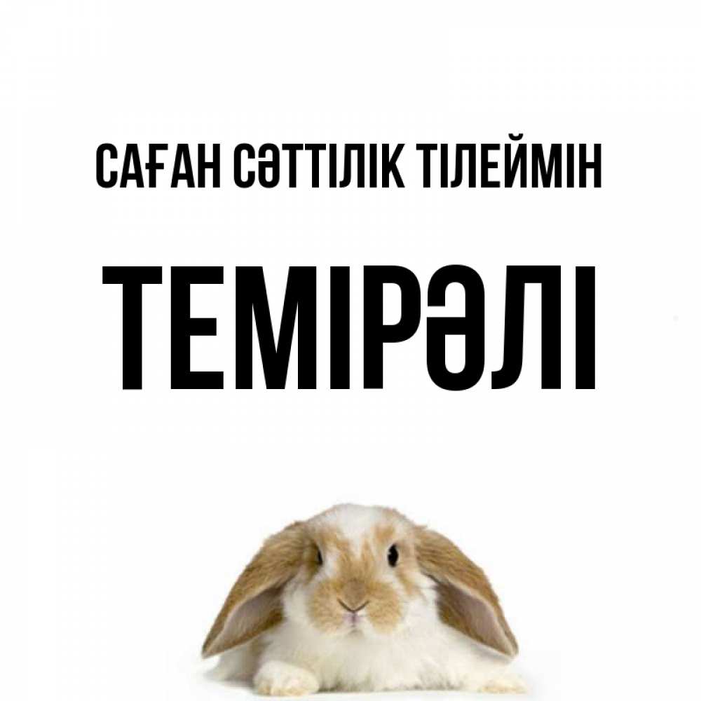 Күн сайын ашық хат с именем, ТЕМІРӘЛІ Саған сәттілік тілеймін открытки с произвольным текстом который можно вставить в открытку и создать ее самостоятельно бесплатно онлайн Онлайн тегін жүктеп алу тілектері бар керемет карта 