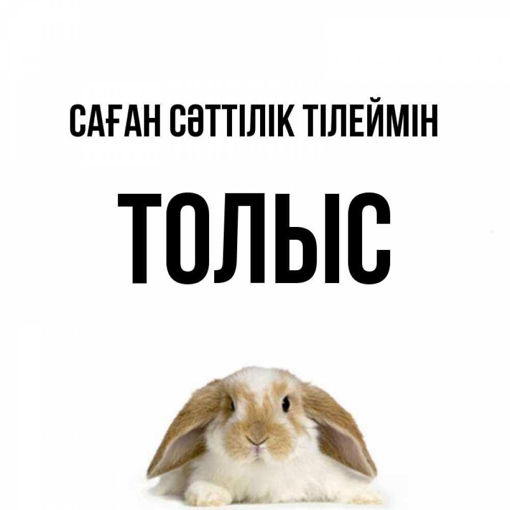 Күн сайын ашық хат с именем, ТОЛЫС Саған сәттілік тілеймін открытки с произвольным текстом который можно вставить в открытку и создать ее самостоятельно бесплатно онлайн Онлайн тегін жүктеп алу тілектері бар керемет карта 
