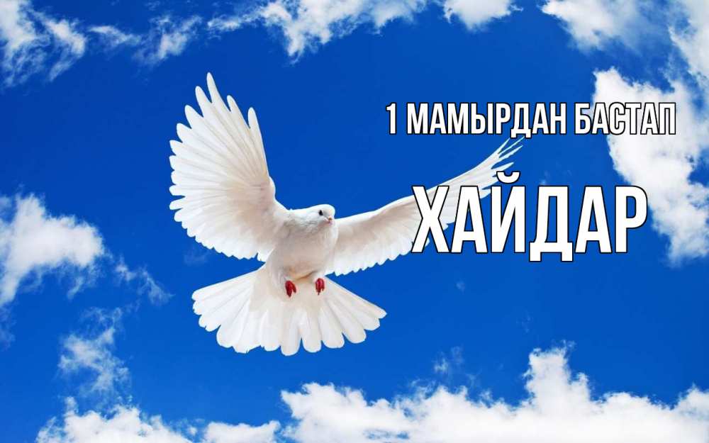 Күн сайын ашық хат с именем, ХАЙДАР 1 мамырдан бастап С 1 мая 1 Онлайн тегін жүктеп алу тілектері бар керемет карта 