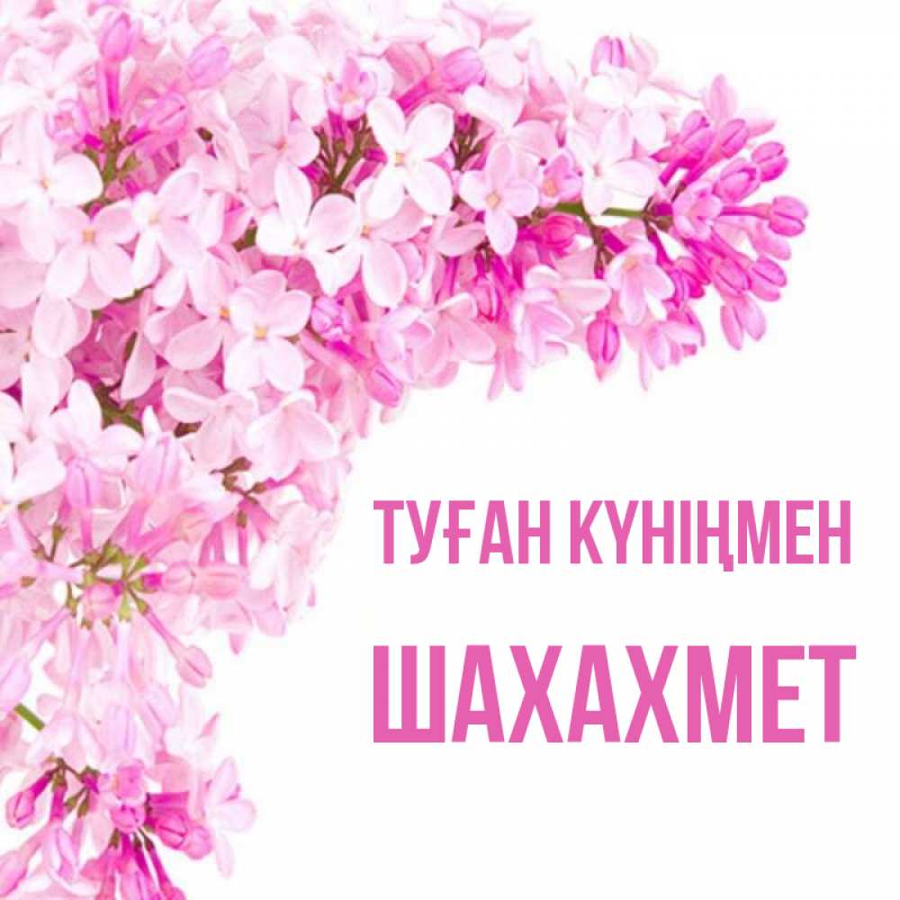 Күн сайын ашық хат с именем, ШАХАХМЕТ Туған күніңмен Сирень на белом фоне Онлайн тегін жүктеп алу тілектері бар керемет карта 