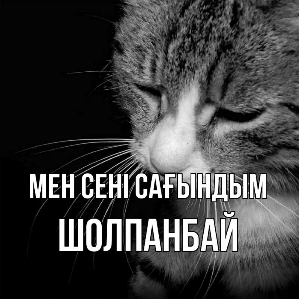 Күн сайын ашық хат с именем, ШОЛПАНБАЙ Мен сені сағындым мне скучно Онлайн тегін жүктеп алу тілектері бар керемет карта 