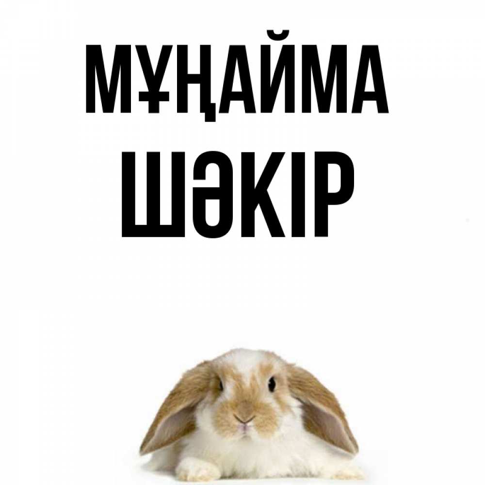 Күн сайын ашық хат с именем, ШӘКІР Мұңайма коричнево белый заяц с большими ушками Онлайн тегін жүктеп алу тілектері бар керемет карта 