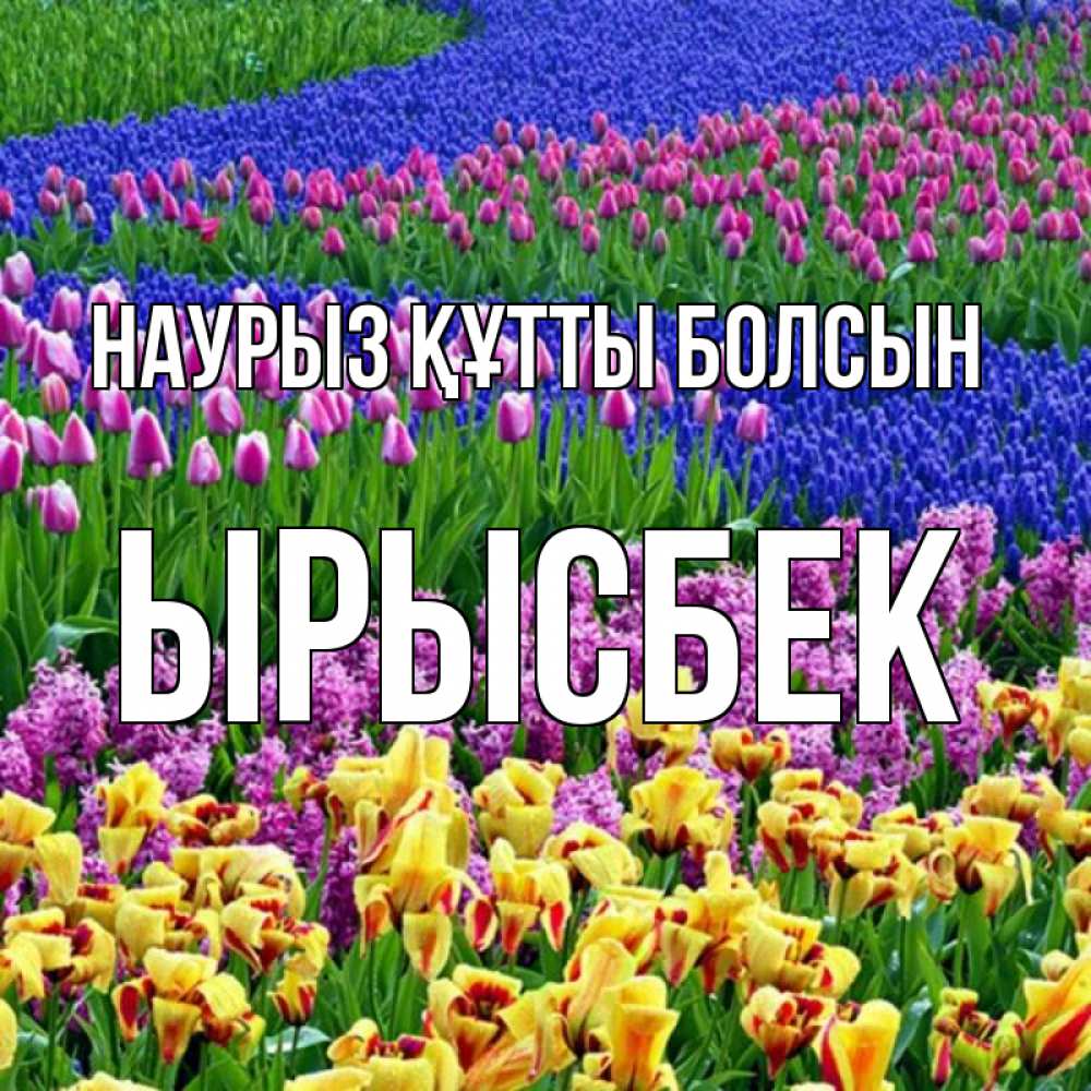 Күн сайын ашық хат с именем, ЫРЫСБЕК Наурыз құтты болсын цветы Онлайн тегін жүктеп алу тілектері бар керемет карта 