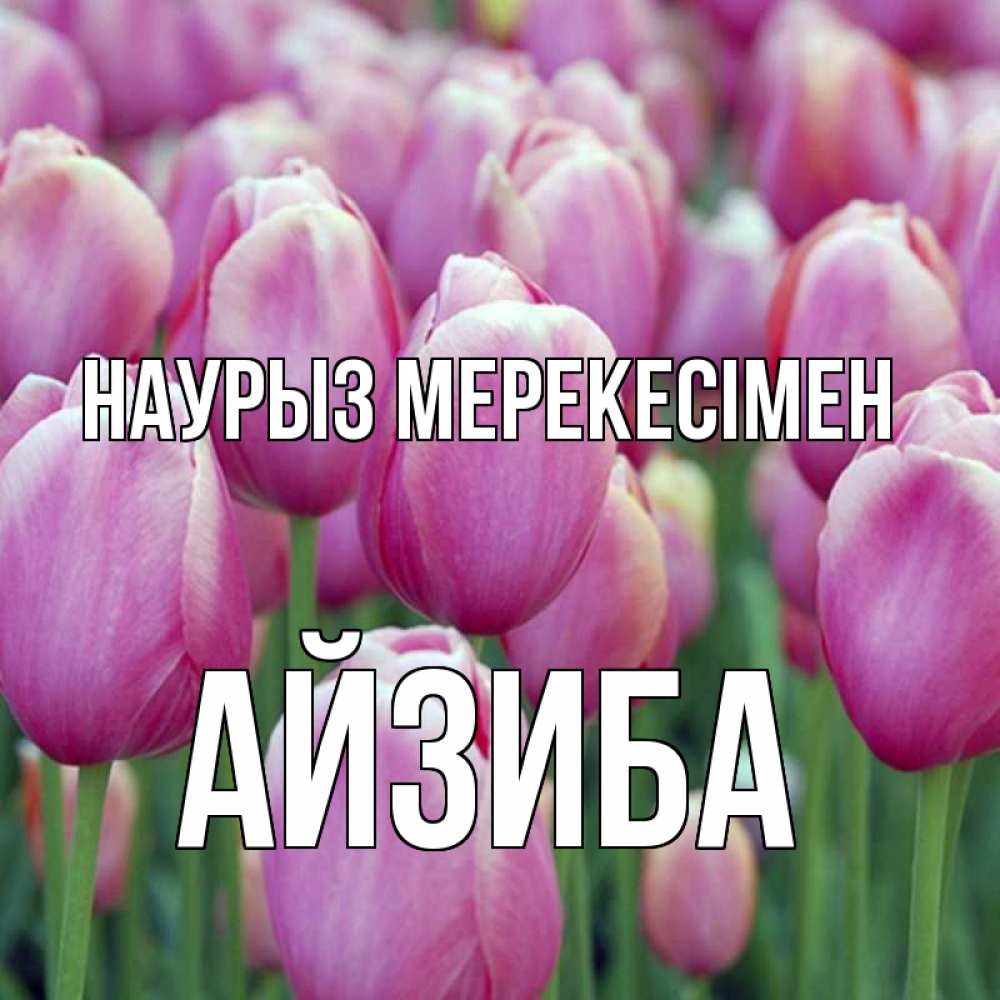 Күн сайын ашық хат с именем, АЙЗИБА Наурыз мерекесімен праздник весны наурыз 69 Онлайн тегін жүктеп алу тілектері бар керемет карта 
