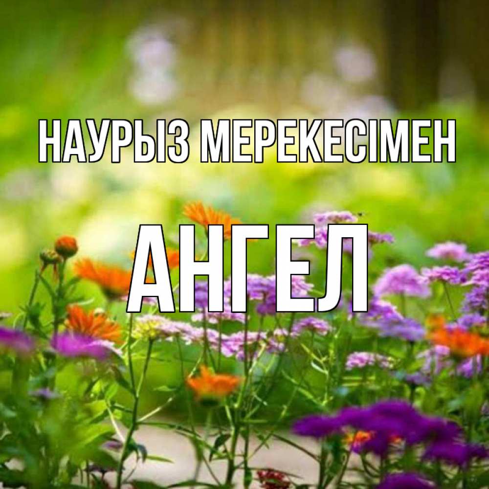 Күн сайын ашық хат с именем, Ангел Наурыз мерекесімен цветы Онлайн тегін жүктеп алу тілектері бар керемет карта 