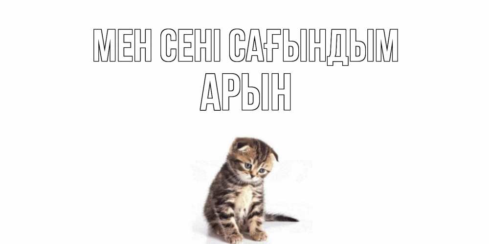 Күн сайын ашық хат с именем, Арын Мен сені сағындым кот Онлайн тегін жүктеп алу тілектері бар керемет карта 