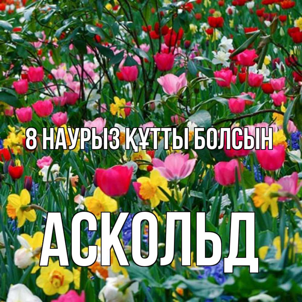 Күн сайын ашық хат с именем, Аскольд 8 наурыз құтты болсын с международным женским днем поздравления для женщины Онлайн тегін жүктеп алу тілектері бар керемет карта 