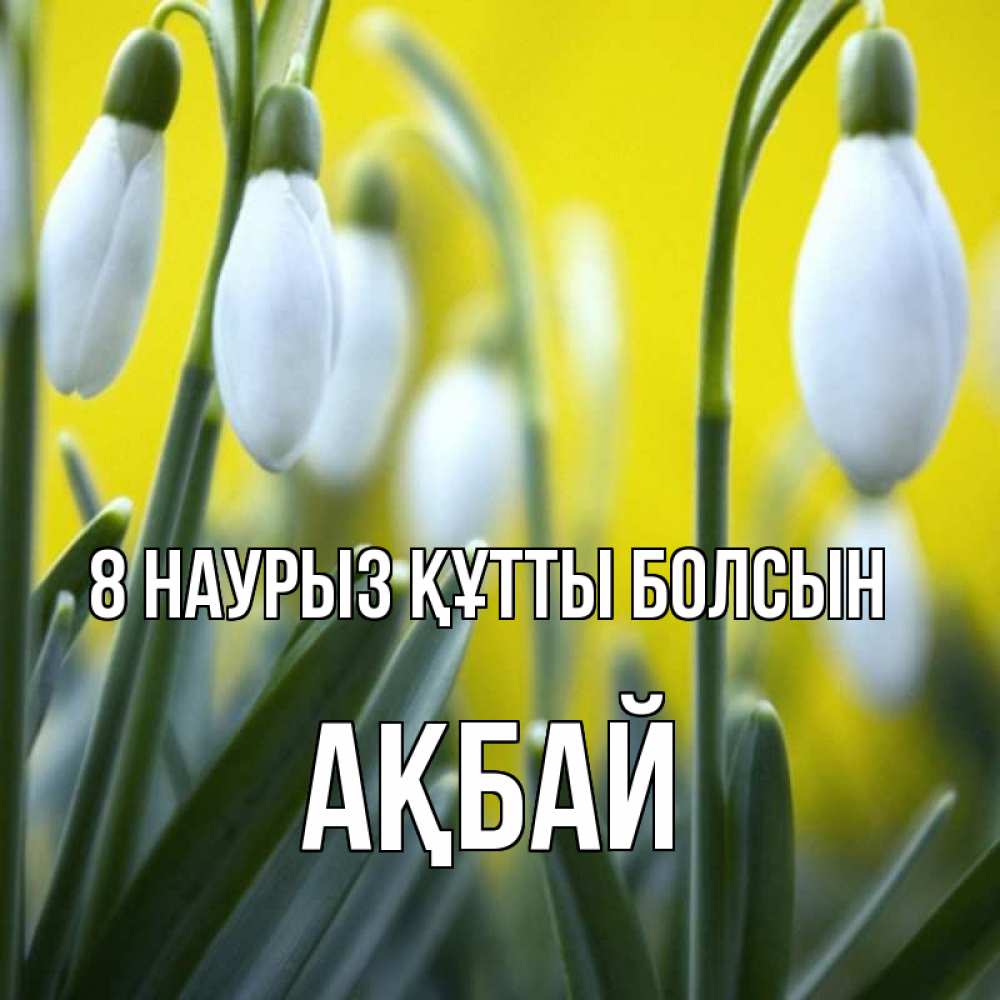 Күн сайын ашық хат с именем, Ақбай 8 наурыз құтты болсын весенние цветы Онлайн тегін жүктеп алу тілектері бар керемет карта 