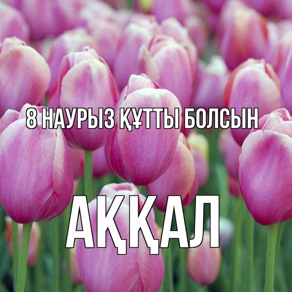 Күн сайын ашық хат с именем, Аққал 8 наурыз құтты болсын на международный женский день 3 Онлайн тегін жүктеп алу тілектері бар керемет карта 