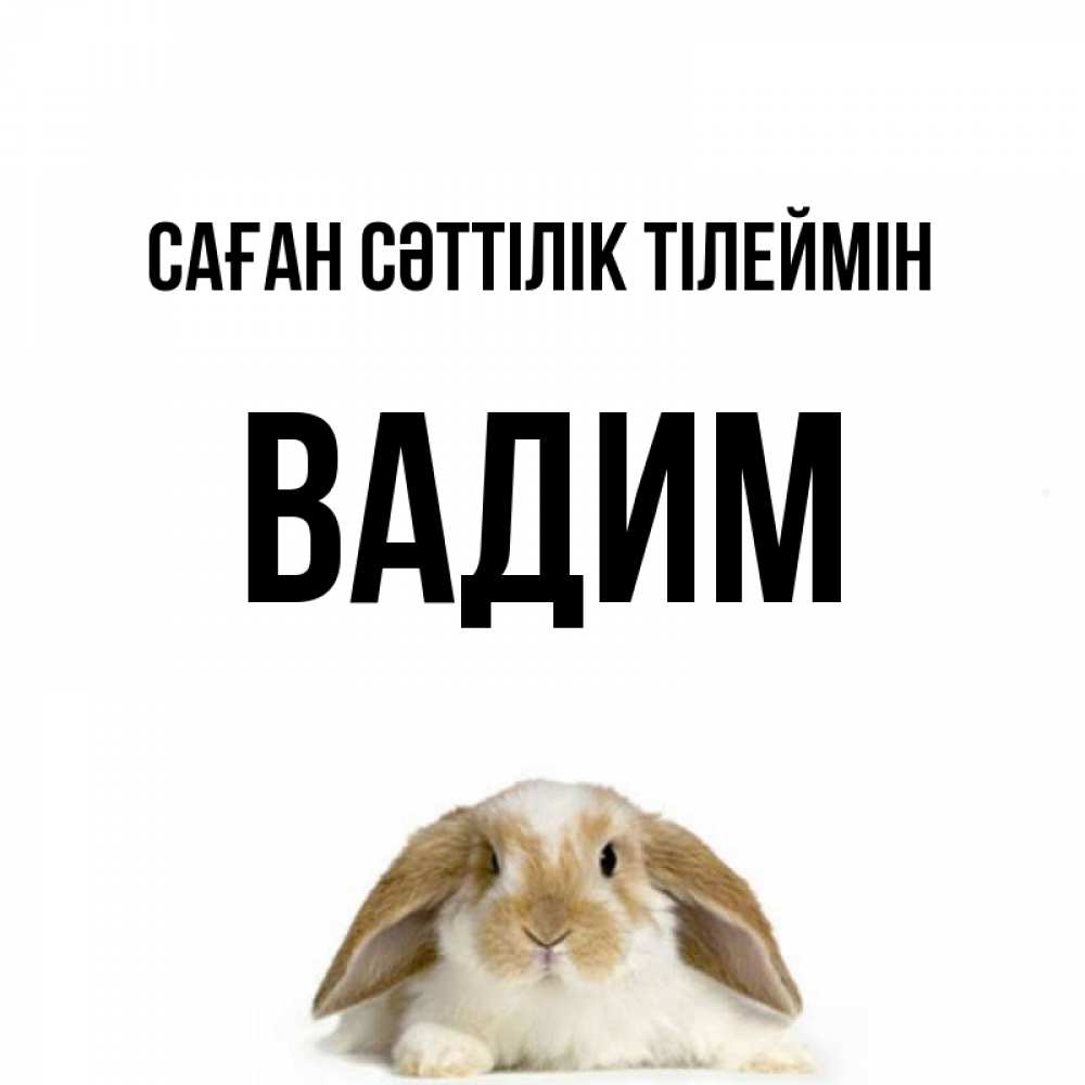 Күн сайын ашық хат с именем, Вадим Саған сәттілік тілеймін открытки с произвольным текстом который можно вставить в открытку и создать ее самостоятельно бесплатно онлайн Онлайн тегін жүктеп алу тілектері бар керемет карта 
