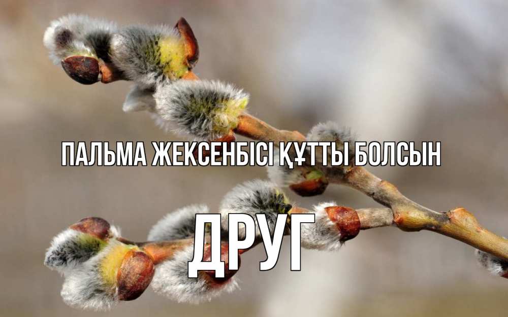 Күн сайын ашық хат с именем, Друг Пальма жексенбісі құтты болсын Верба Онлайн тегін жүктеп алу тілектері бар керемет карта 