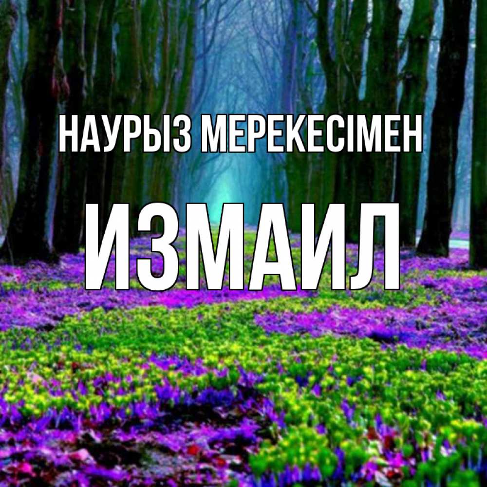 Күн сайын ашық хат с именем, Измаил Наурыз мерекесімен фиолетовые цветы в лесу 1 Онлайн тегін жүктеп алу тілектері бар керемет карта 