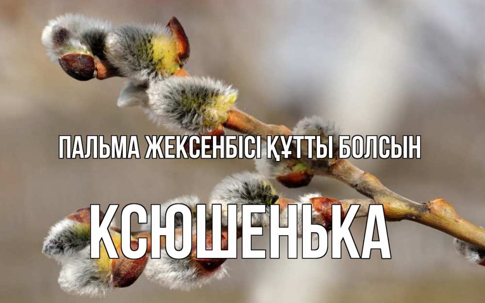 Күн сайын ашық хат с именем, Ксюшенька Пальма жексенбісі құтты болсын Верба Онлайн тегін жүктеп алу тілектері бар керемет карта 