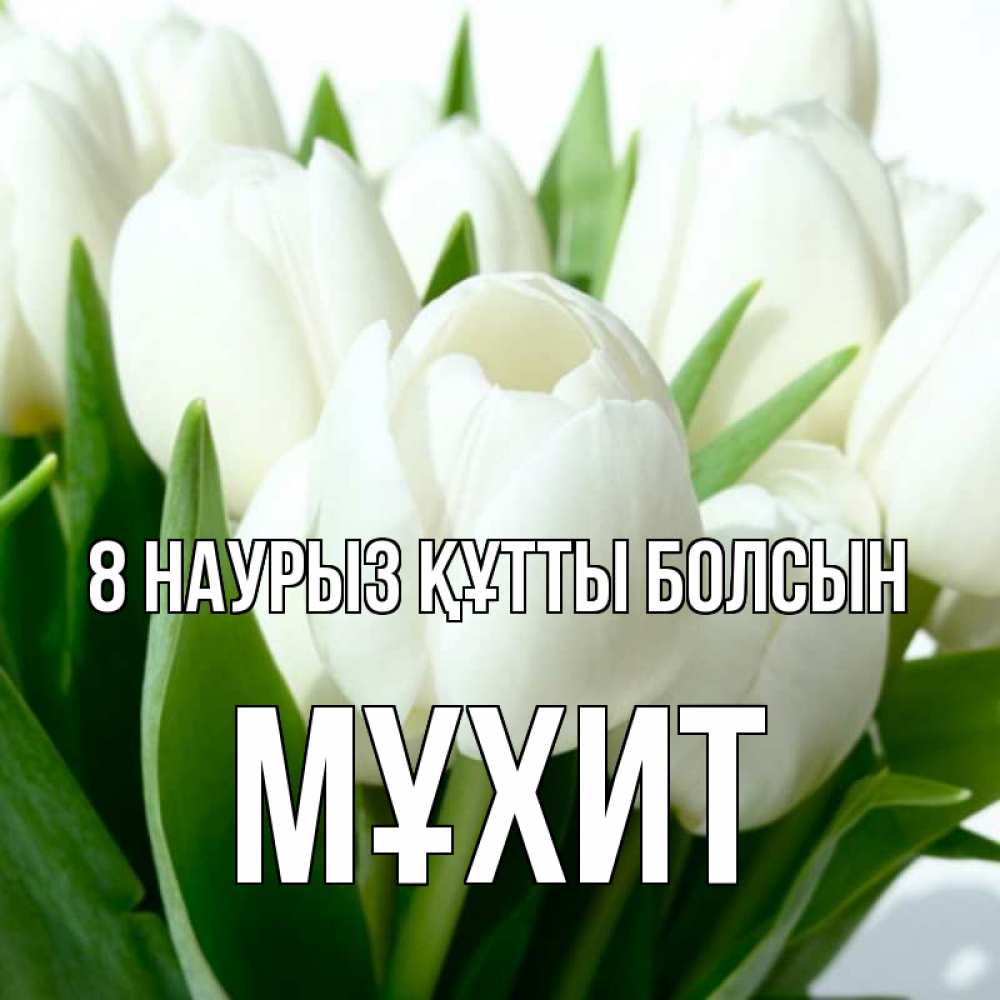 Күн сайын ашық хат с именем, МҰХИТ 8 наурыз құтты болсын цветы Онлайн тегін жүктеп алу тілектері бар керемет карта 
