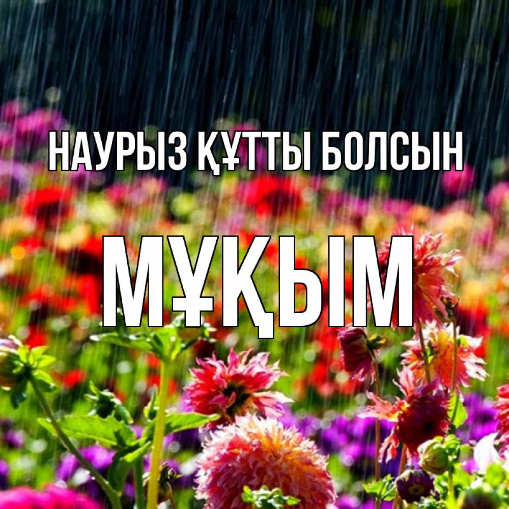 Күн сайын ашық хат с именем, МҰҚЫМ Наурыз құтты болсын цветы под дождиком к наурызу Онлайн тегін жүктеп алу тілектері бар керемет карта 