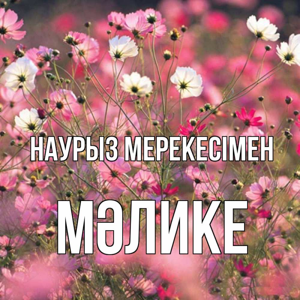 Күн сайын ашық хат с именем, МӘЛИКЕ Наурыз мерекесімен красиво 1 Онлайн тегін жүктеп алу тілектері бар керемет карта 