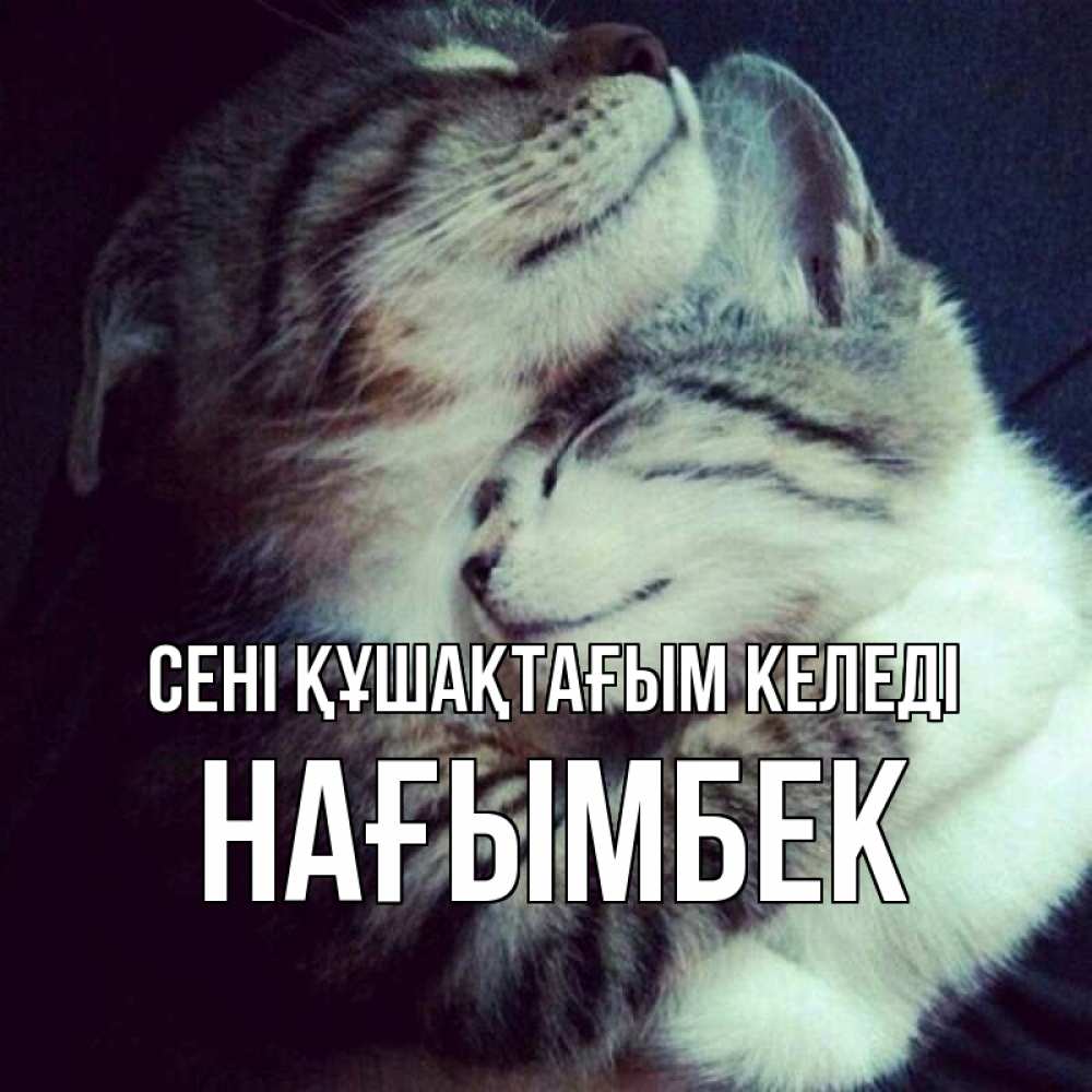 Күн сайын ашық хат с именем, НАҒЫМБЕК сені құшақтағым келеді полосатики Онлайн тегін жүктеп алу тілектері бар керемет карта 
