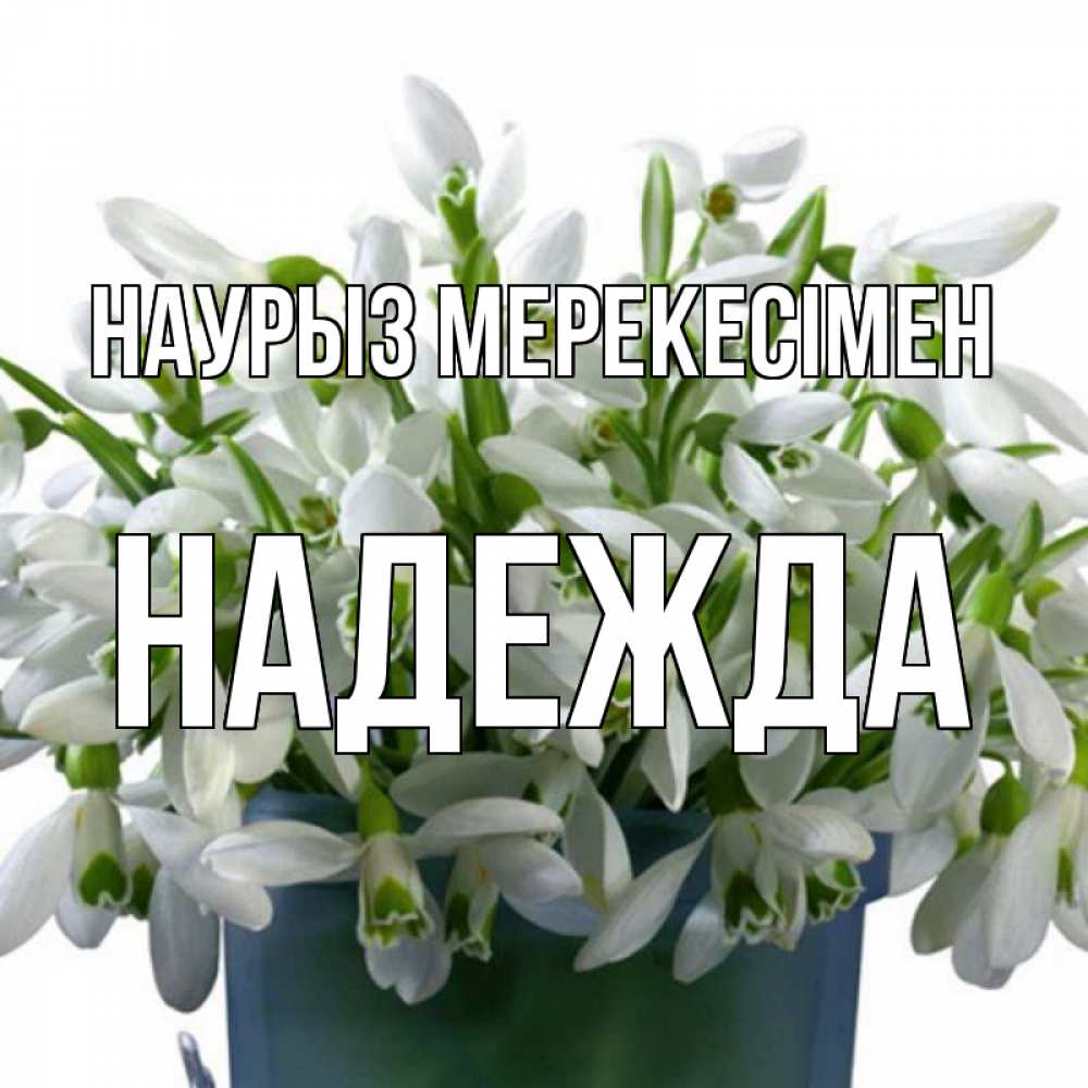 Күн сайын ашық хат с именем, Надежда Наурыз мерекесімен цветы к наурызу новый год в Казахстане Онлайн тегін жүктеп алу тілектері бар керемет карта 