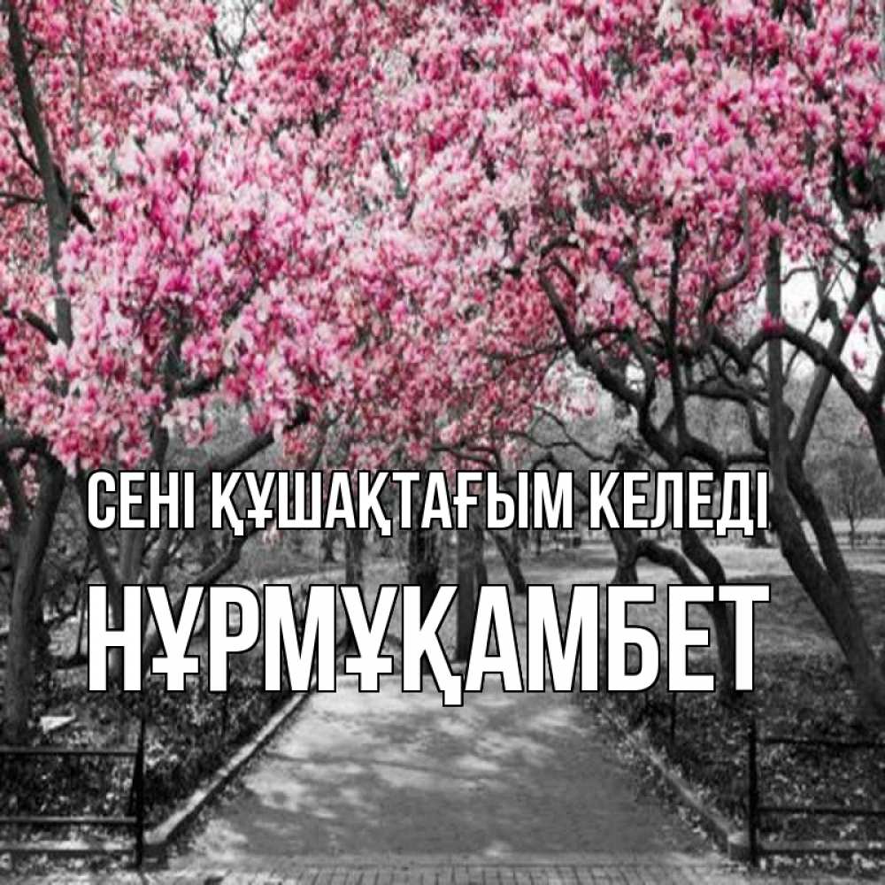 Күн сайын ашық хат с именем, НҰРМҰҚАМБЕТ сені құшақтағым келеді обработанное фото Онлайн тегін жүктеп алу тілектері бар керемет карта 