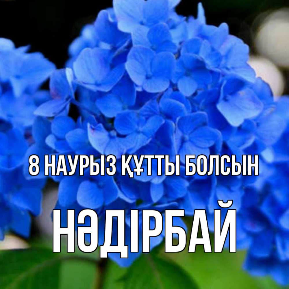 Күн сайын ашық хат с именем, НӘДІРБАЙ 8 наурыз құтты болсын синие цветы Онлайн тегін жүктеп алу тілектері бар керемет карта 