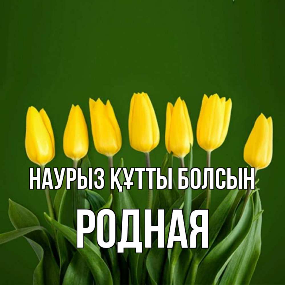 Күн сайын ашық хат с именем, Родная Наурыз құтты болсын желтого цвета 3 Онлайн тегін жүктеп алу тілектері бар керемет карта 