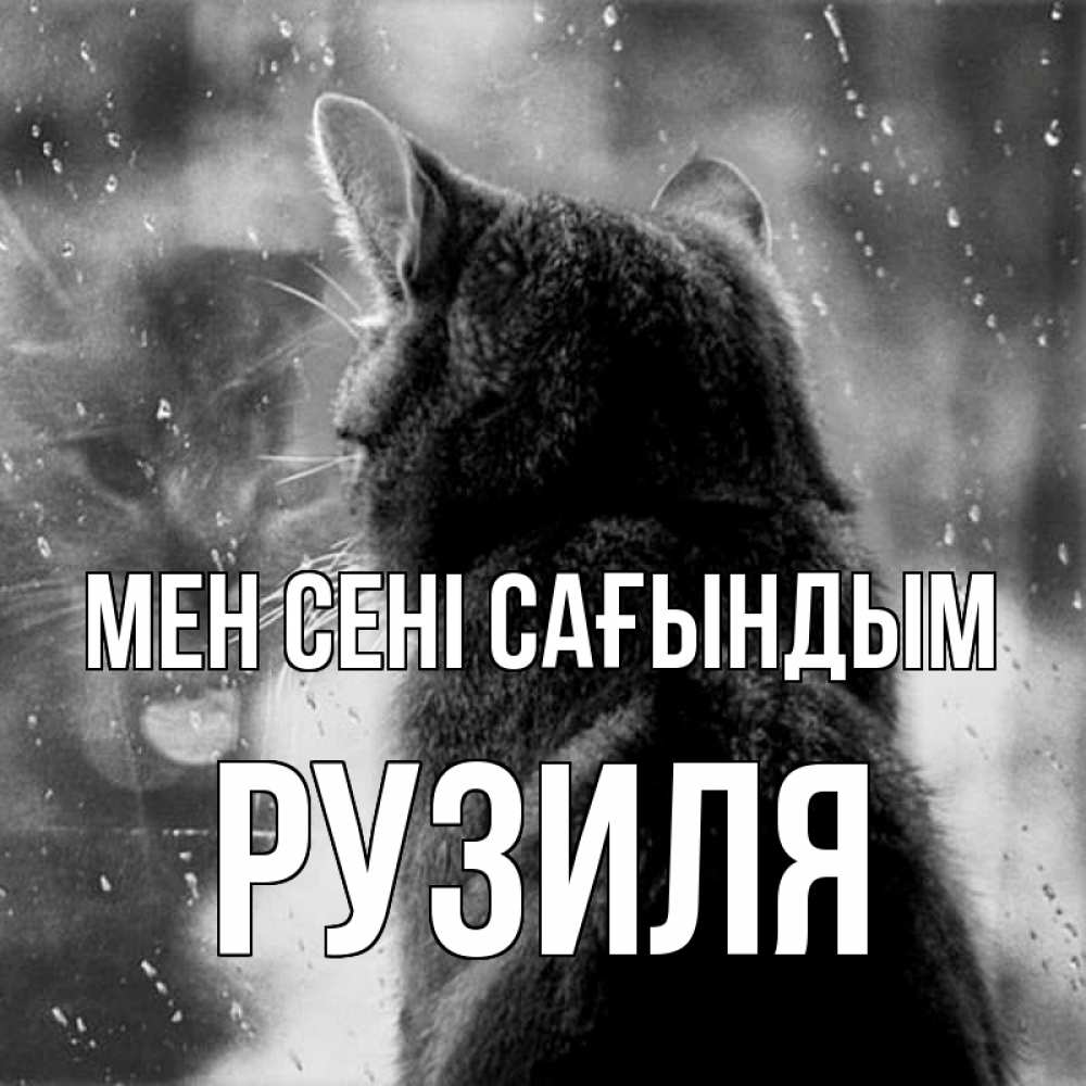 Күн сайын ашық хат с именем, Рузиля Мен сені сағындым скорее ко мне приходи 1 Онлайн тегін жүктеп алу тілектері бар керемет карта 
