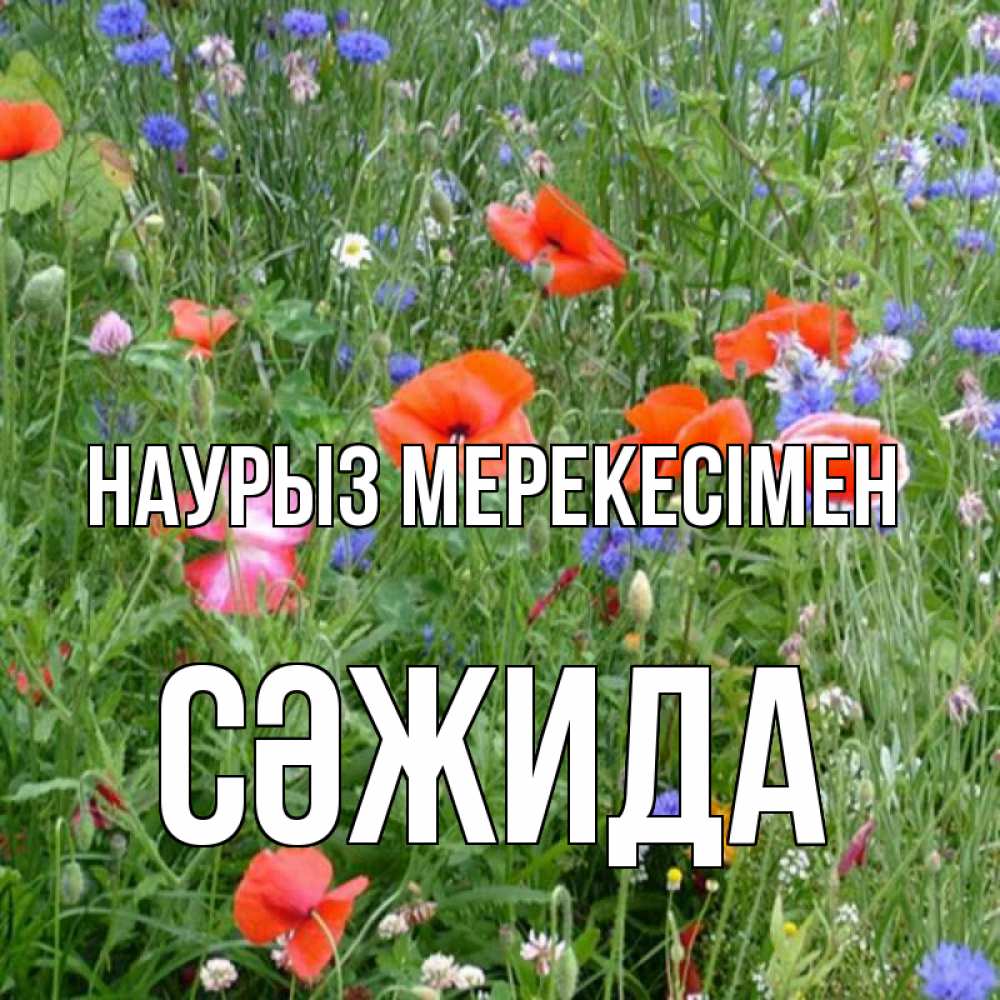 Күн сайын ашық хат с именем, СӘЖИДА Наурыз мерекесімен праздник весны наурыз супер открытка Онлайн тегін жүктеп алу тілектері бар керемет карта 