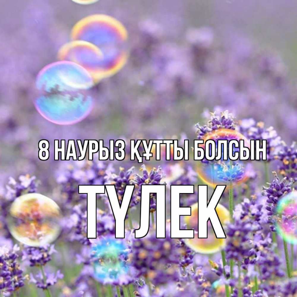 Күн сайын ашық хат с именем, ТҮЛЕК 8 наурыз құтты болсын цветы Онлайн тегін жүктеп алу тілектері бар керемет карта 