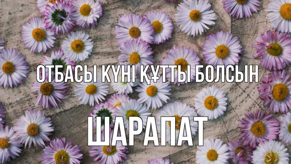 Күн сайын ашық хат с именем, ШАРАПАТ отбасы күні құтты болсын с днем семьи Онлайн тегін жүктеп алу тілектері бар керемет карта 