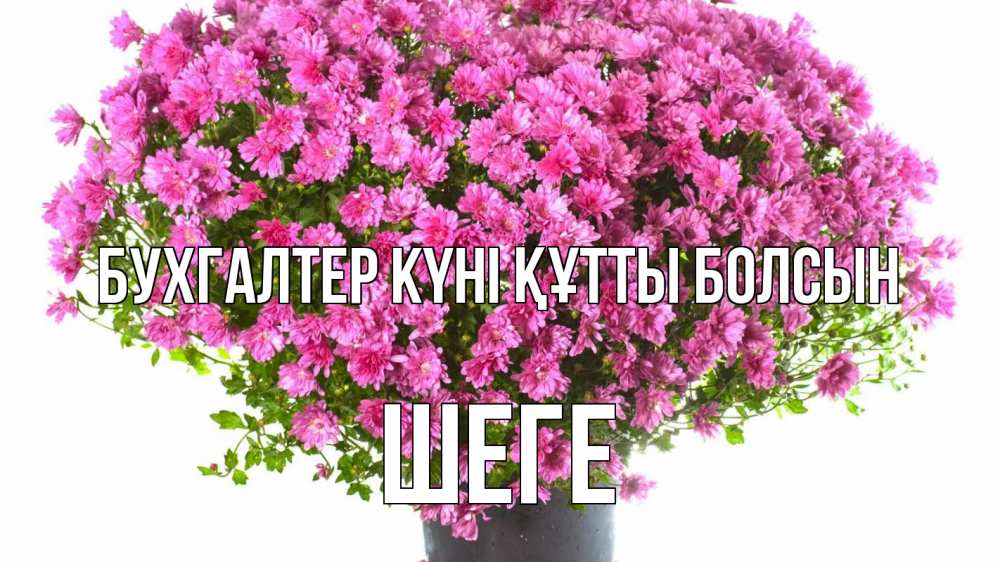 Күн сайын ашық хат с именем, ШЕГЕ бухгалтер күні құтты болсын с днем бухгалтера Онлайн тегін жүктеп алу тілектері бар керемет карта 