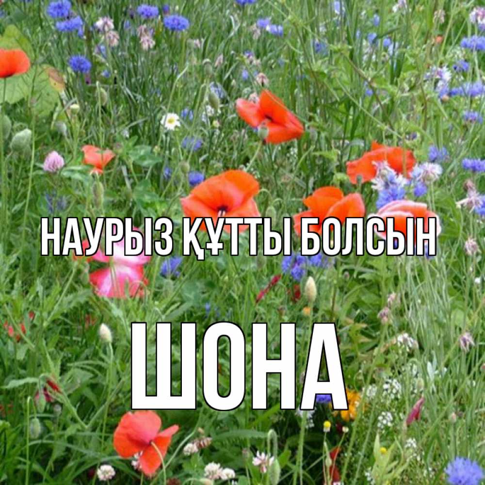 Күн сайын ашық хат с именем, ШОНА Наурыз құтты болсын наурыз  4 Онлайн тегін жүктеп алу тілектері бар керемет карта 